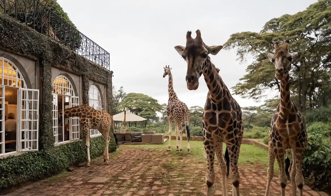 Giraffe Manor Breakfast (day visit) — Nairobi