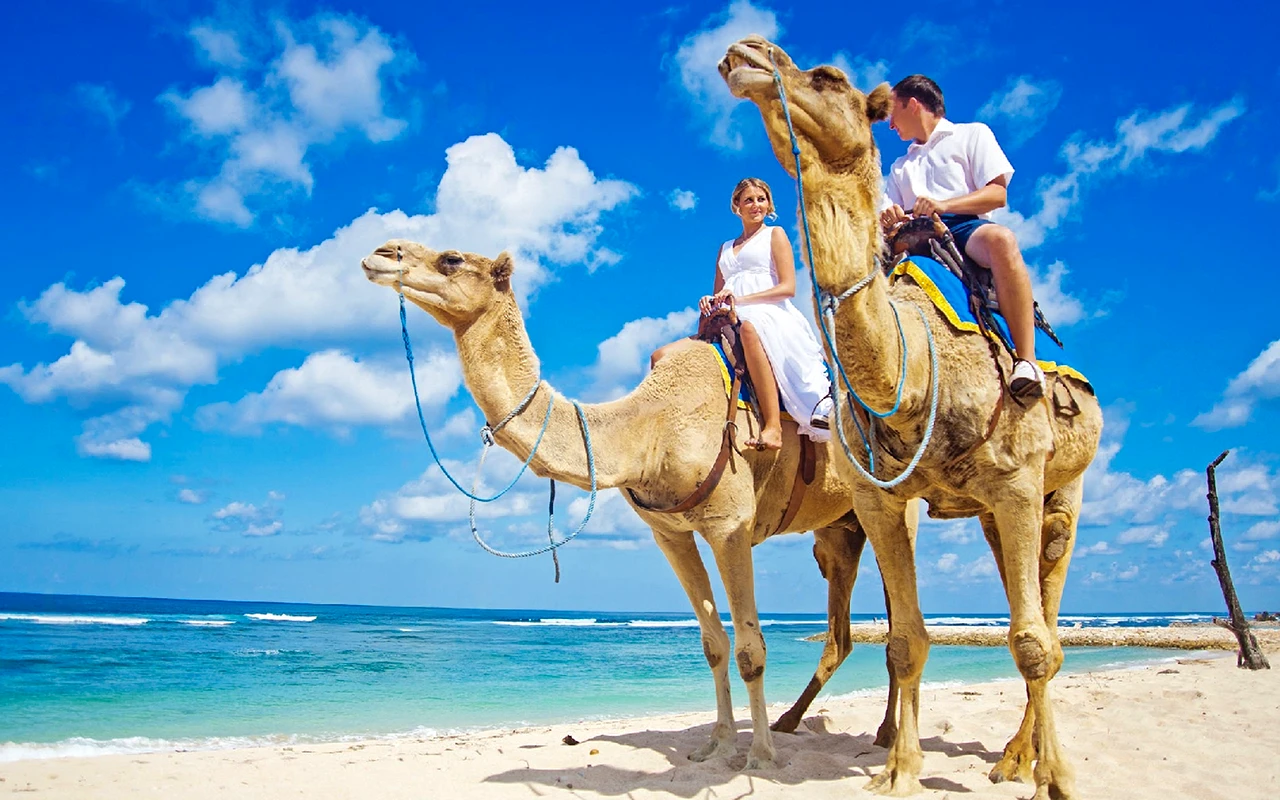 Camel Ride on the Beach — Diani Beach